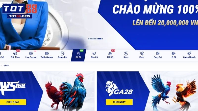 Khám phá những ưu điểm nổi bật của chuyên mục Đá gà TOT88